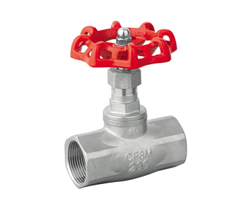 pool gate valve
