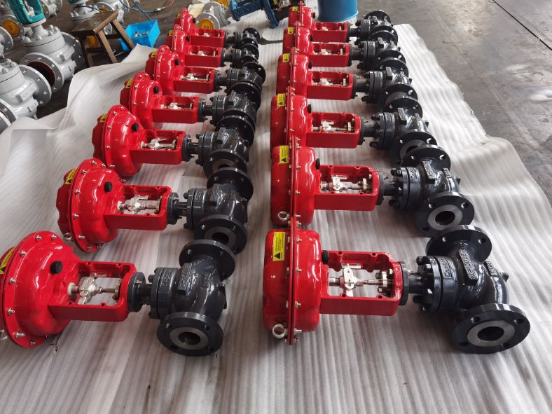 globe control valves (1)