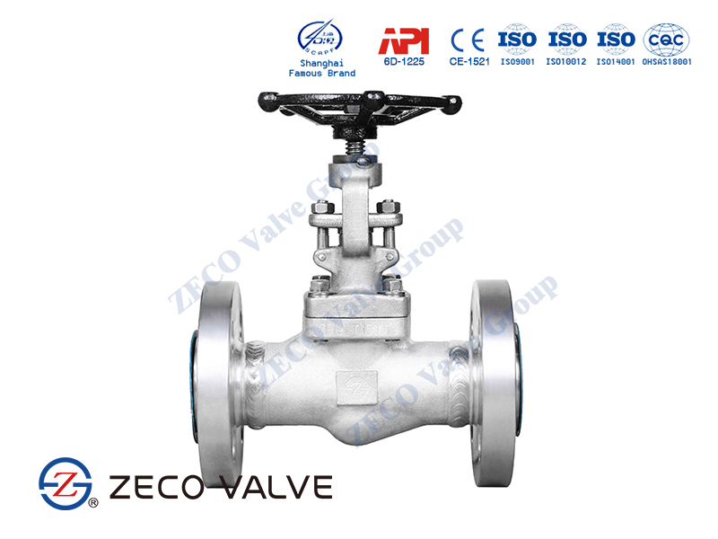 Forged Globe Valve