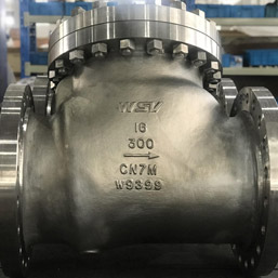 Super Austenitic Check Valves